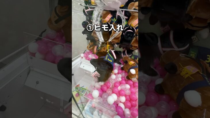 ゲーセンで100円で取る方法　#クレーンゲーム #ゲームセンター #ゲーセン #ufoキャッチャー #攻略 #解説