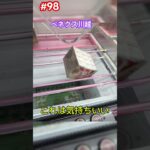 これ100円で取れちゃいます‼︎  #クレーンゲーム #ufoキャッチャー #ベネクス川越