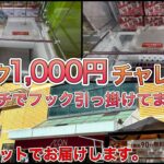 フック1000円チャレンジ企画‼︎ヤラセなしでフック攻略してます‼︎