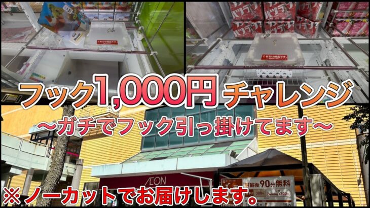 フック1000円チャレンジ企画‼︎ヤラセなしでフック攻略してます‼︎