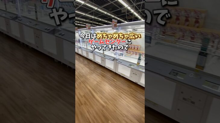 【ゲーセン】クレーンゲームのプロは1000円でどれくらい取れる？