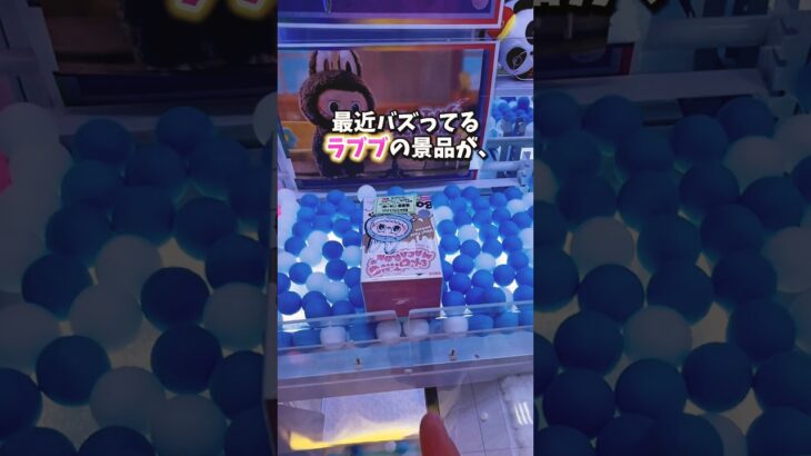 【ゲーセン】1個7000円するラブブのぬいぐるみがクレーンゲームに入っていたので挑戦してみました。(LABUBU)
