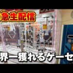 【クレーンゲーム】世界で1番獲れる場所へ！全てが規格外のお店で暴れます！【回遊館養父店・UFOキャッチャー】