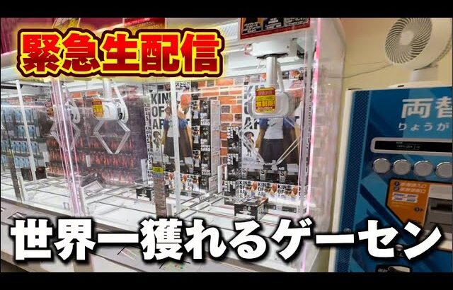 【クレーンゲーム】世界で1番獲れる場所へ！全てが規格外のお店で暴れます！【回遊館養父店・UFOキャッチャー】