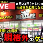 【クレーンゲーム】世界で1番獲れる場所へ！全てが規格外のお店で暴れます！【回遊館養父店・UFOキャッチャー】