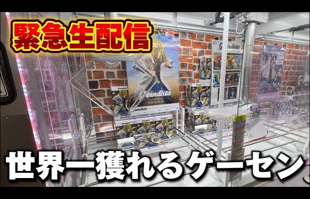 【クレーンゲーム】世界で1番獲れる場所へ！全てが規格外のお店で暴れます！【回遊館養父店・UFOキャッチャー】