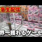 【クレーンゲーム】世界で1番獲れる場所へ！全てが規格外のお店で暴れます！【回遊館養父店・UFOキャッチャー】