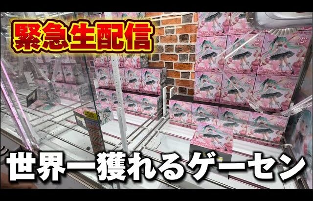 【クレーンゲーム】世界で1番獲れる場所へ！全てが規格外のお店で暴れます！【回遊館養父店・UFOキャッチャー】