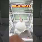 【攻略】 1回で取れる攻略法#clawmachine #japaneseclawmachine #ufoキャッチャー #クレーンゲーム #日本夾娃娃