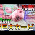 ピンクの悪魔再来!!超巨大まん丸ボデェカービィ攻略法！特大ぬいぐるみ攻略2選！