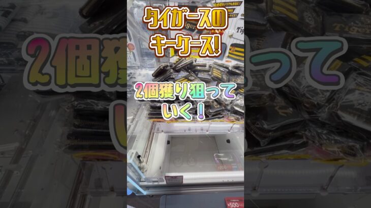 タイガースのキーケース！山積み設定で2個獲り狙った結果… #クレーンゲーム #タイガース #gigo #ゲームセンター