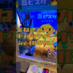 タマネギ2個ゲットだぜ。 #shortvideo #クレーンゲーム #レトロ #ufoキャッチャー #野菜 #淡路島 #兵庫県