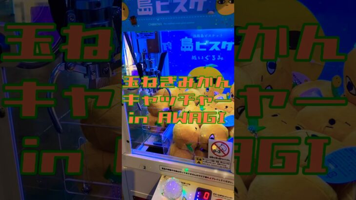 タマネギ2個ゲットだぜ。 #shortvideo #クレーンゲーム #レトロ #ufoキャッチャー #野菜 #淡路島 #兵庫県