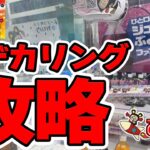 【フック攻略】デカリング2,000円チャレンジ　#クレーンゲーム, #クレーンゲーム攻略, #UFOキャッチャー, #ゲームセンター, #ゲーセン, #景品ゲット #フック攻略, #デカリング