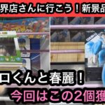パワプロくんと春麗！今回はこの2個を獲る！【結屋】【クレーンゲーム】【JapaneseClawMachine】【인형뽑기】【日本夾娃娃】
