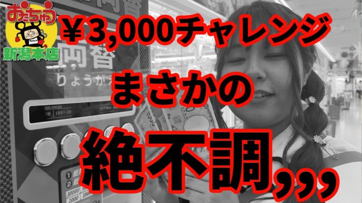 【クレーンゲーム】予算3,000円…まさかの大失敗!?