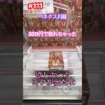 欲しかったミクのプライズを5手で取れちゃった #クレーンゲーム #ufoキャッチャー #ベネクス川越 #初音ミク