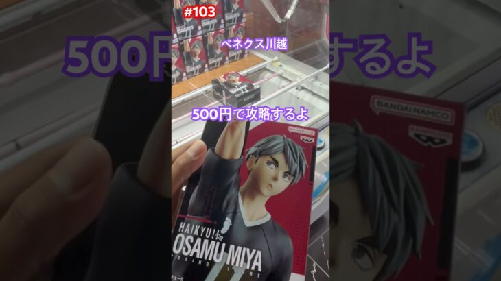 登場初日の宮治を500円で取るぞ　#クレーンゲーム #ufoキャッチャー #ベネクス川越