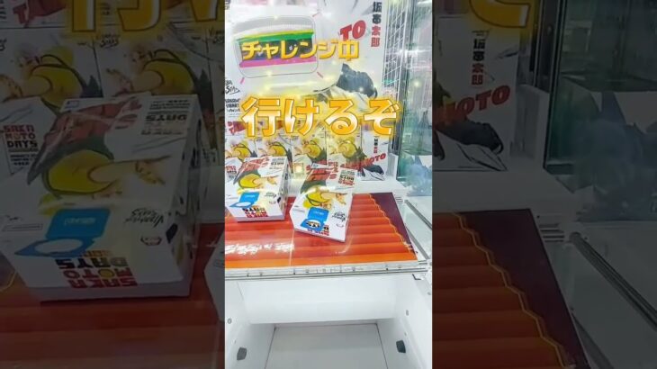 【攻略】アシストがないと5000円かかります。 #クレーンゲーム #ゲームセンター #アミューズメント限定 #ufoキャッチャー #ゲーセン #shorts #short