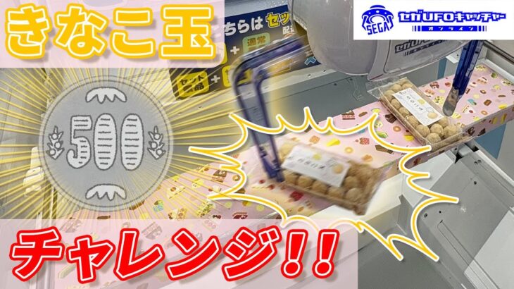 きなこ玉500円チャレンジ【セガUFOキャッチャーオンライン】