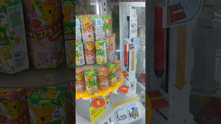 千葉鑑定団湾岸習志野店のゲッタースピンでコアラのマーチを6個ゲット #shorts