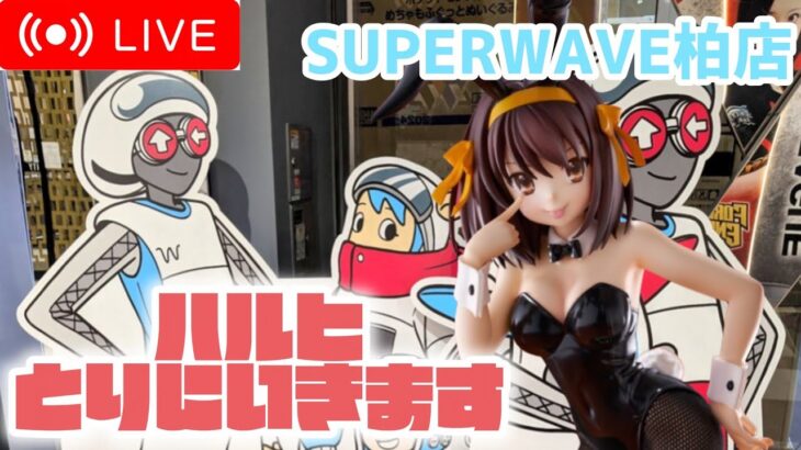 【第72回】個人的激アツプライズが！？今宵もSUPERWAVE柏店でLIVE配信！【クレーンゲーム】