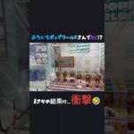 【クレーンゲーム】#おたいちポップワールド大垣 さんでのBCの結果は…!?