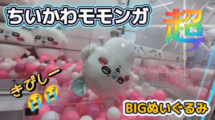 ちいかわモモンガ超BIGぬいぐるみ☆ このサイズの導入初日設定はやっぱり…。【クレーンゲーム】