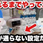 【ちいかわクレーンゲーム】また散財、、景品が通らない橋幅はアウトでしょ、、大人気なパラレルワールドBIGぬいぐるみのハチワレ取れるまでやってみた【ちいかわ】