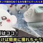 モモンガ超BIGぬぐるみはココを狙えばすぐ獲れるかも！？こんな結果になるとは想像してなかった…【ちいかわ】【クレーンゲーム】【JapaneseClawMachine】【인형뽑기】【日本夾娃娃】