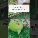 【クレーンゲーム】ちいかわゴブリンBigぬいぐるみ攻略💚　#ちいかわ#クレーンゲーム#ゴブリン#ぬいぐるみ#グッズ#最新#新作#プライズ#攻略#マスコット#UFOキャッチャー#初登場#娃娃机#吉伊卡哇