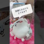 【クレーンゲーム】ちいかわモモンガ超Bigぬいぐるみ💜#ちいかわ#クレーンゲーム#モモンガ#ぬいぐるみ#グッズ#最新#新作#プライズ#攻略#みーてー#UFOキャッチャー#ちい活#初登場#娃娃机