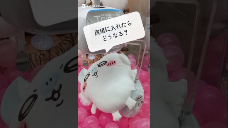 【クレーンゲーム】ちいかわモモンガ超Bigぬいぐるみ💜#ちいかわ#クレーンゲーム#モモンガ#ぬいぐるみ#グッズ#最新#新作#プライズ#攻略#みーてー#UFOキャッチャー#ちい活#初登場#娃娃机