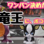 【クレーンゲーム】CGS岩槻店で竜王にボコられた…