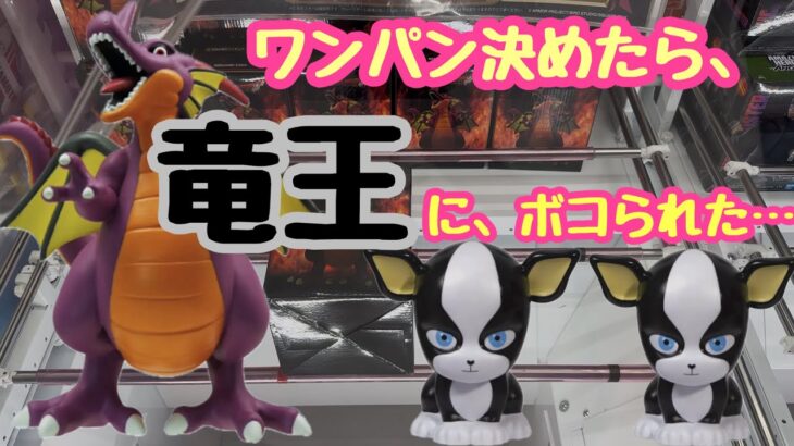【クレーンゲーム】CGS岩槻店で竜王にボコられた…