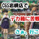 【クレーンゲーム】CGS岩槻店でデカ箱で苦戦？さぁ、行こう！