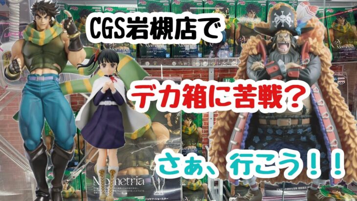 【クレーンゲーム】CGS岩槻店でデカ箱で苦戦？さぁ、行こう！