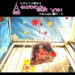 のんびりオンクレ、なんか(　ﾟдﾟ)ｸﾚ！✨#GET #クレーンゲーム