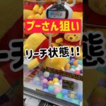 【最後の一手】大好きなプーさん攻略GET！！！