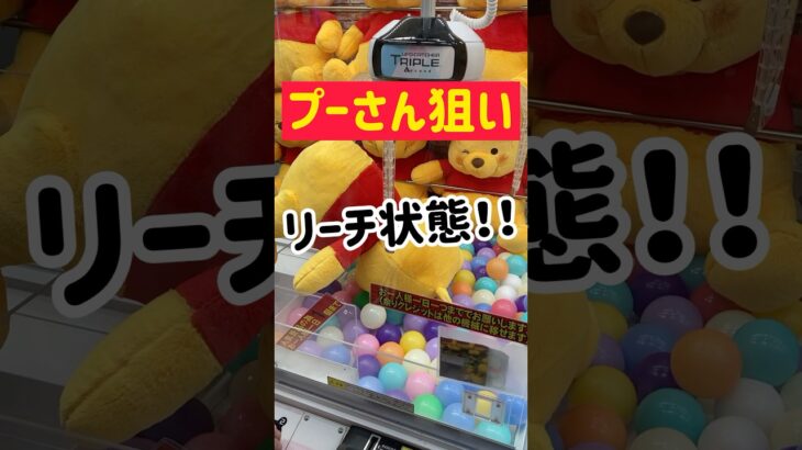 【最後の一手】大好きなプーさん攻略GET！！！