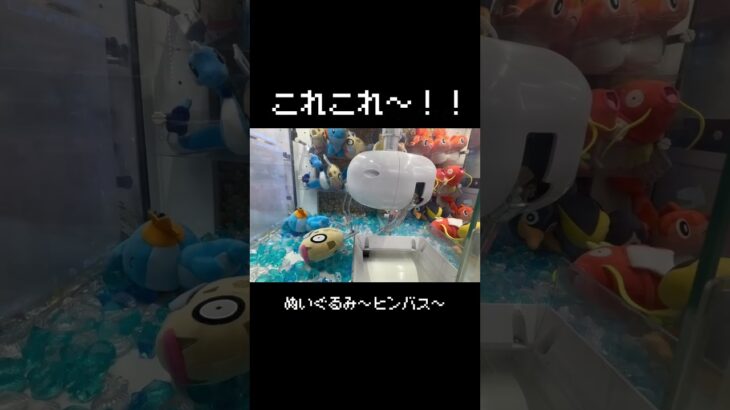 【これこれ！！】ヒンバスの〇〇〇狙ってGET！！　#ポケモン#pokemon #ポケットモンスター #クレーンゲーム#ぬいぐるみ