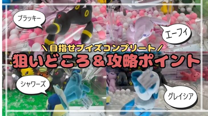 【ブイズコンプリート目指して】ブラッキー・エーフィ・グレイシア・シャワーズGET！！　#ポケットモンスター #ポケモン #pokemon #ぬいぐるみ #クレーンゲーム