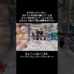 【ブイズ攻略】ブラッキーGETで確信したブイズの狙い目はこれだ！！　#ポケモン#pokemon #ポケットモンスター #クレーンゲーム#ぬいぐるみ