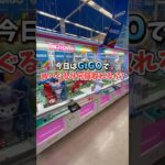 【ゲーセン】GiGOでぬいぐるみを確率無視してみた🧸