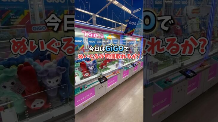 【ゲーセン】GiGOでぬいぐるみを確率無視してみた🧸