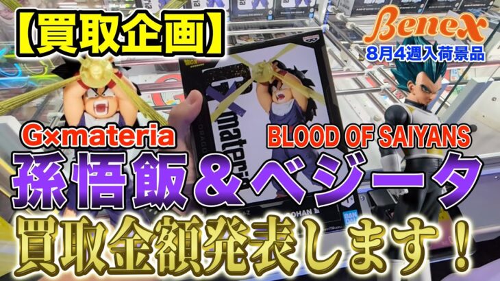 【クレーンゲーム】【買取企画】G×materia孫悟飯とBLOOD OF SAIYANSベジータ　予想通りの結果だったけど…もう少しいってくれてもよかったかな！　＠ベネクス川崎店
