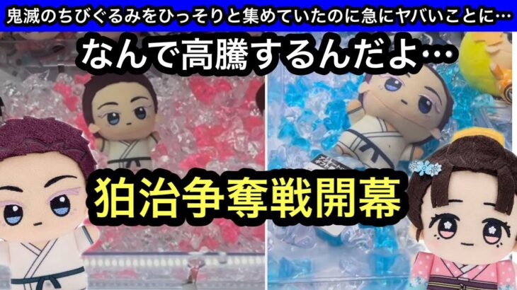 狛治争奪戦開幕…朝から長蛇の列になるちびぐるみ…また鬼滅がヤバいことなりだした…【クレーンゲーム】【JapaneseClawMachine】【인형뽑기】【日本夾娃娃】