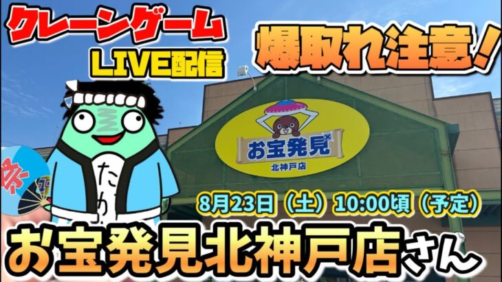 【夏休みLIVE】お宝発見北神戸店で爆取りなるか⁉️10,000円チャレンジ🔥