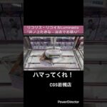 【クレーンゲーム】リコリス・リコイルLuminasta“井ノ上たきな ‐ 浴衣でお祭り” #アニメ #クレゲ #クレーンゲーム #CGS岩槻店#リコリス