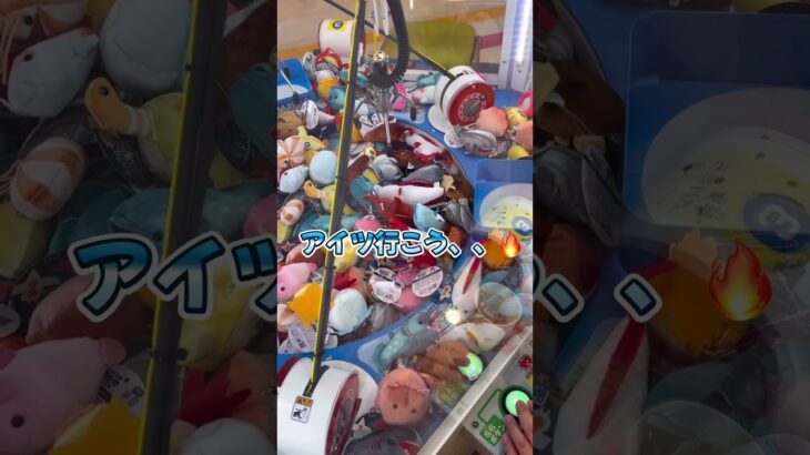 公式が釣っちゃ王を攻略してみた…！？[Part2]　 #釣っちゃ王 #クレーンゲーム #UFOキャッチャー #プライズゲーム #ゲームセンター #ゲーセン #釣り #釣りクレーンゲーム